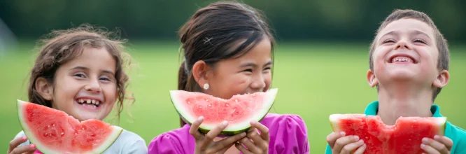 Comida saludable para niños